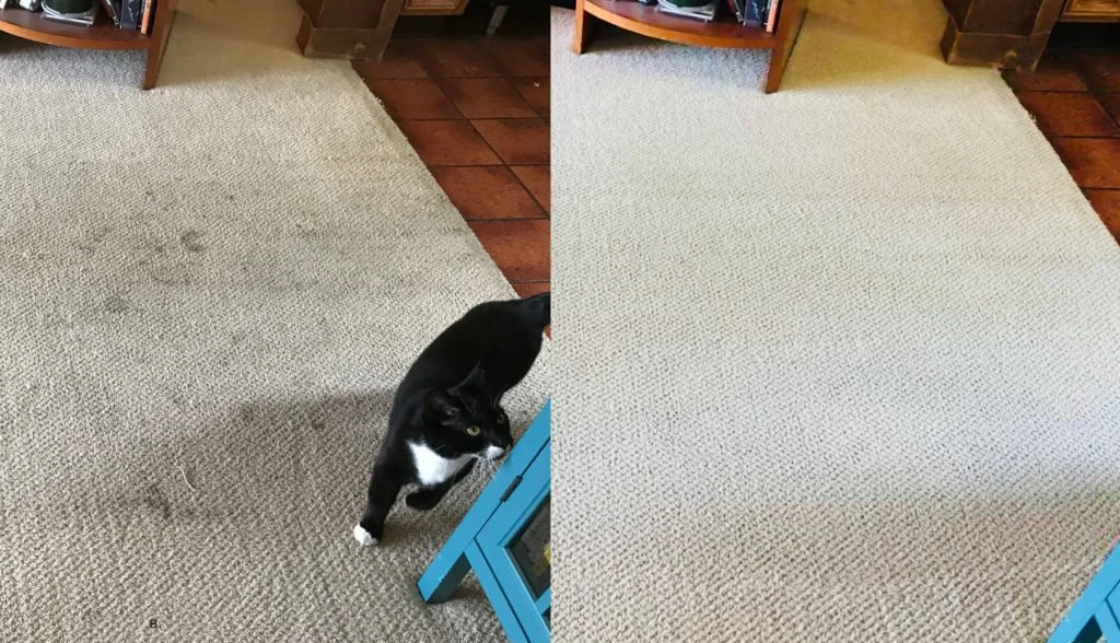 Temizlenen halılar teslim edilir